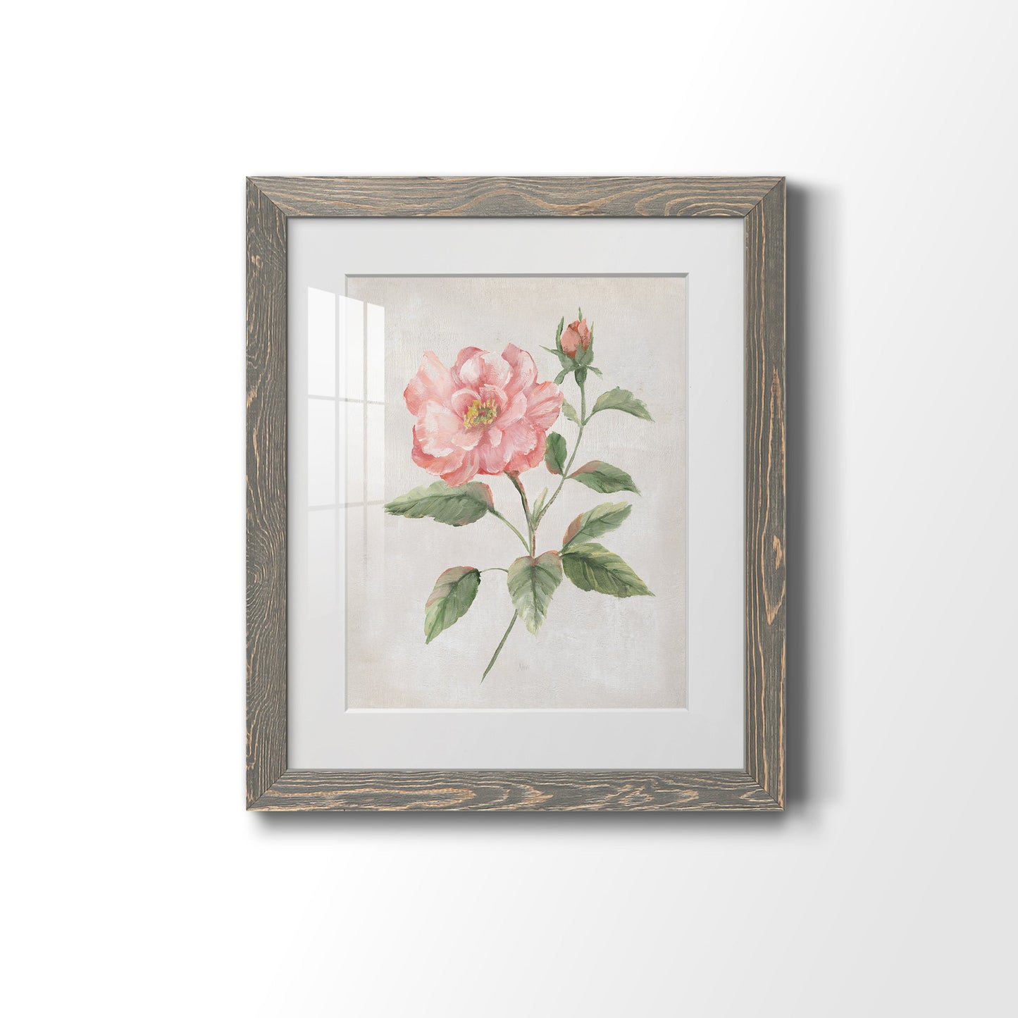 Grandiflora II - Premium Framed Print - Distressed Barnwood Frame - Ready to Hang