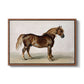 A Cart-Horse - Floater Framed Canvas Print