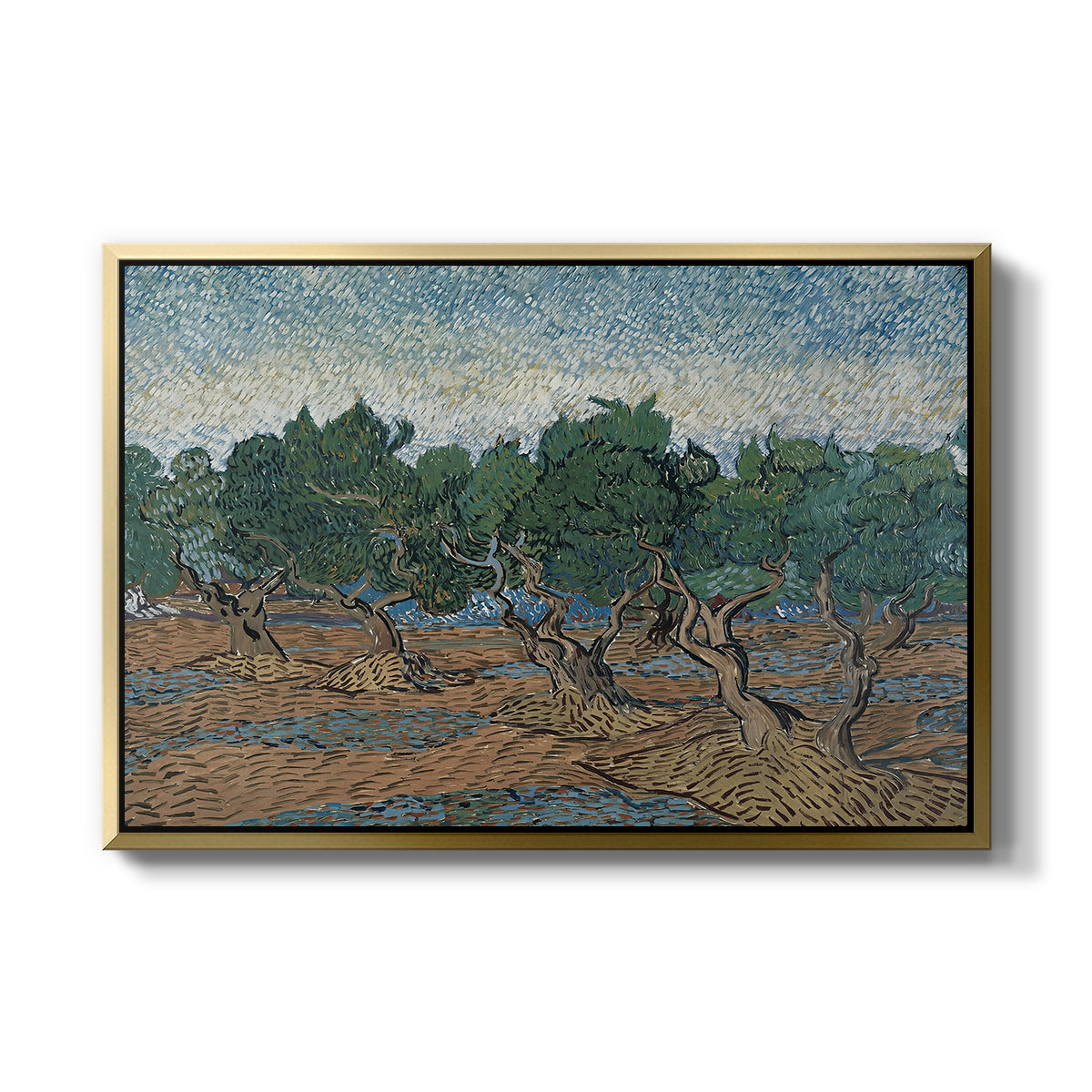 Olive Trees, 1889 - Floater Framed Canvas Print