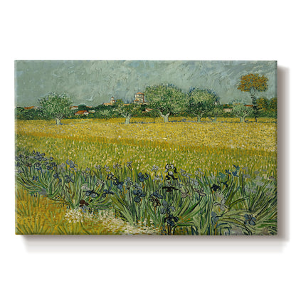 Canvas art print portraying an open field filled with irises stretching across landscape under bright sky, set against a white background
