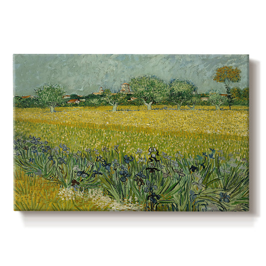 Canvas art print portraying an open field filled with irises stretching across landscape under bright sky, set against a white background