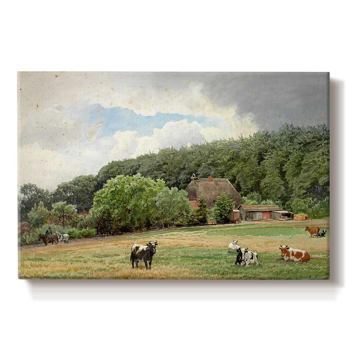 Canvas art print portraying cows grazing in pasture near farmhouse in rural countryside, set against a white background