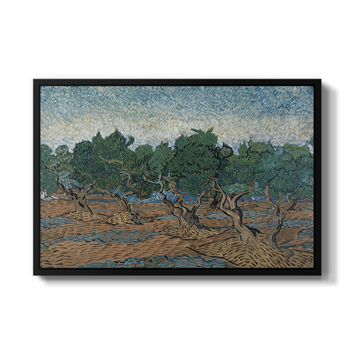 Olive Trees, 1889 - Floater Framed Canvas Print