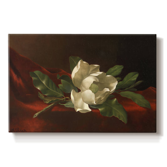 Canvas art print portraying a white magnolia bloom resting on red velvet surface, set against a white background