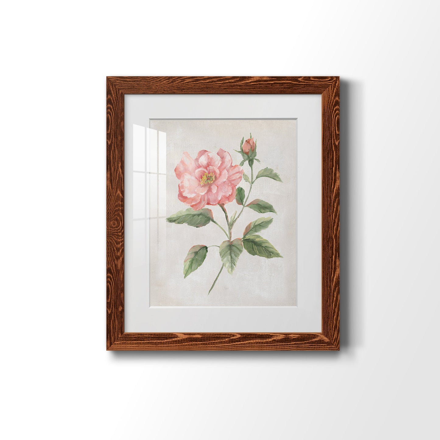 Grandiflora II - Premium Framed Print - Distressed Barnwood Frame - Ready to Hang