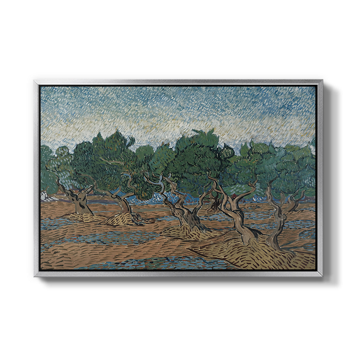Olive Trees, 1889 - Floater Framed Canvas Print