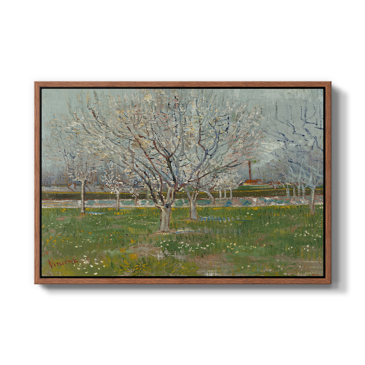 Orchard in Blossom (Plum Trees), 1888 - Floater Framed Canvas Print