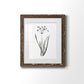 Inky Botanical II - Premium Framed Print - Distressed Barnwood Frame - Ready to Hang