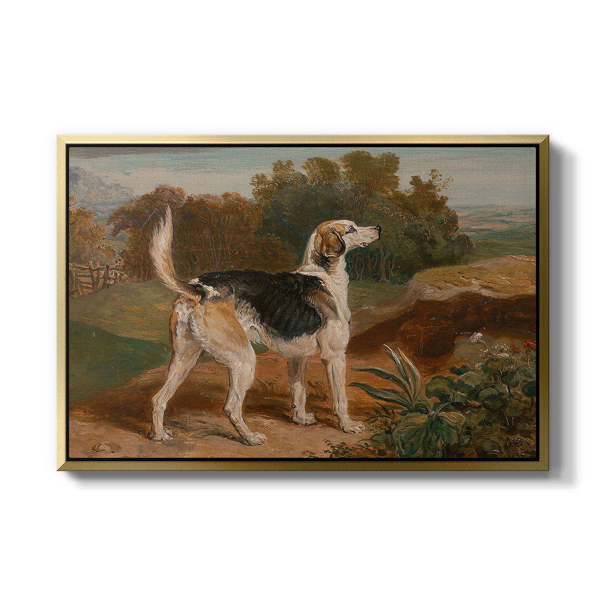 Ravager, One of the Lambton Hounds, 1835 - Floater Framed Canvas Print