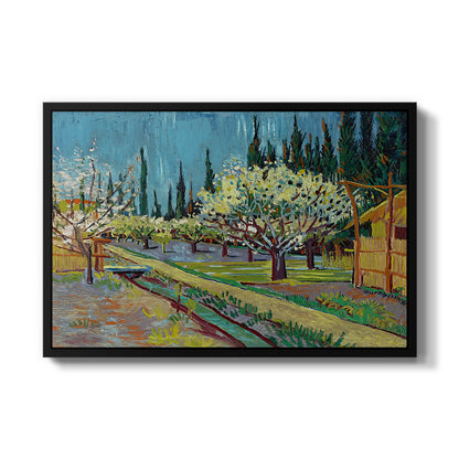 Orchard in Blossom, Bordered by Cypresses, 1888 - Floater Framed Canvas Print