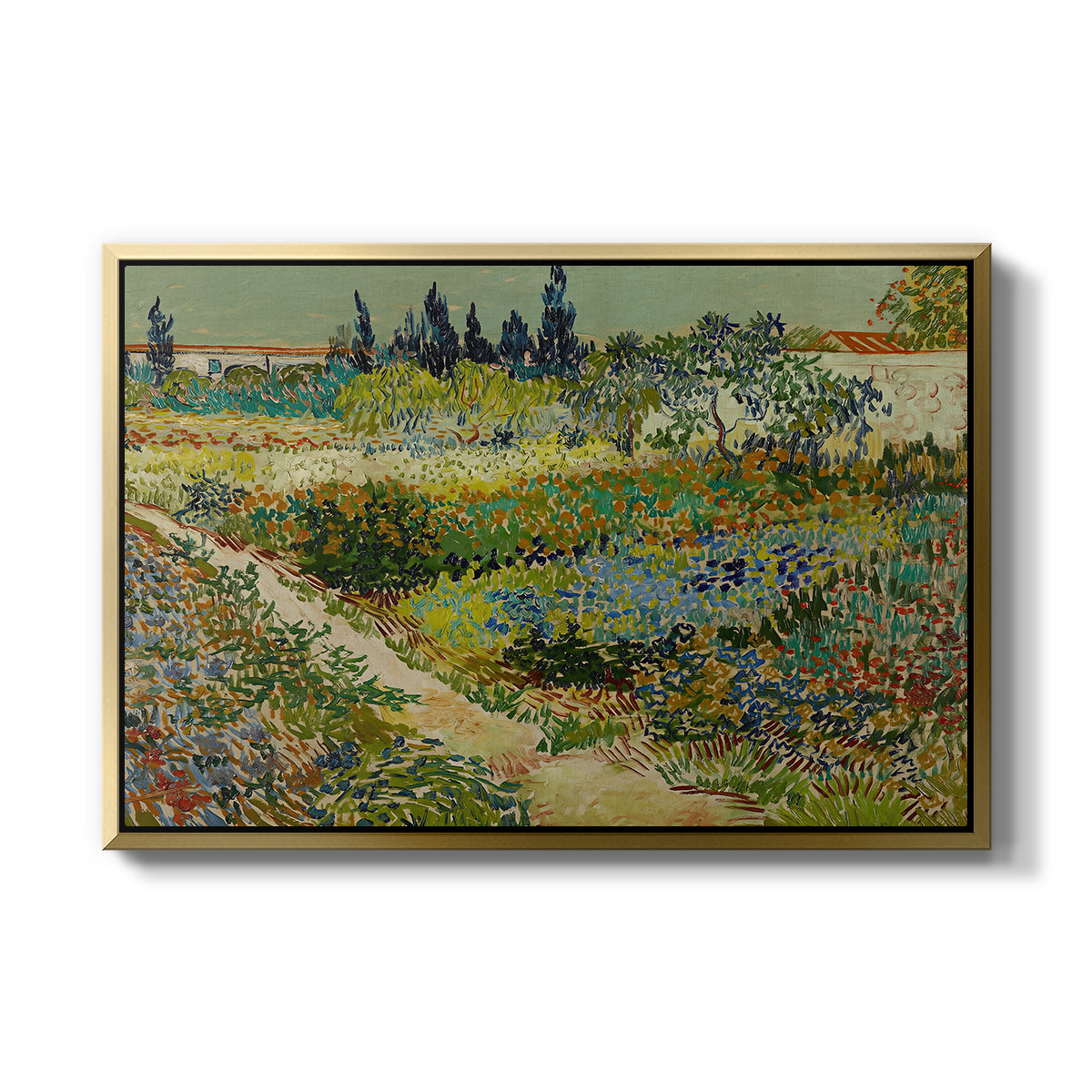 Garden at Arles, 1888 - Floater Framed Canvas Print