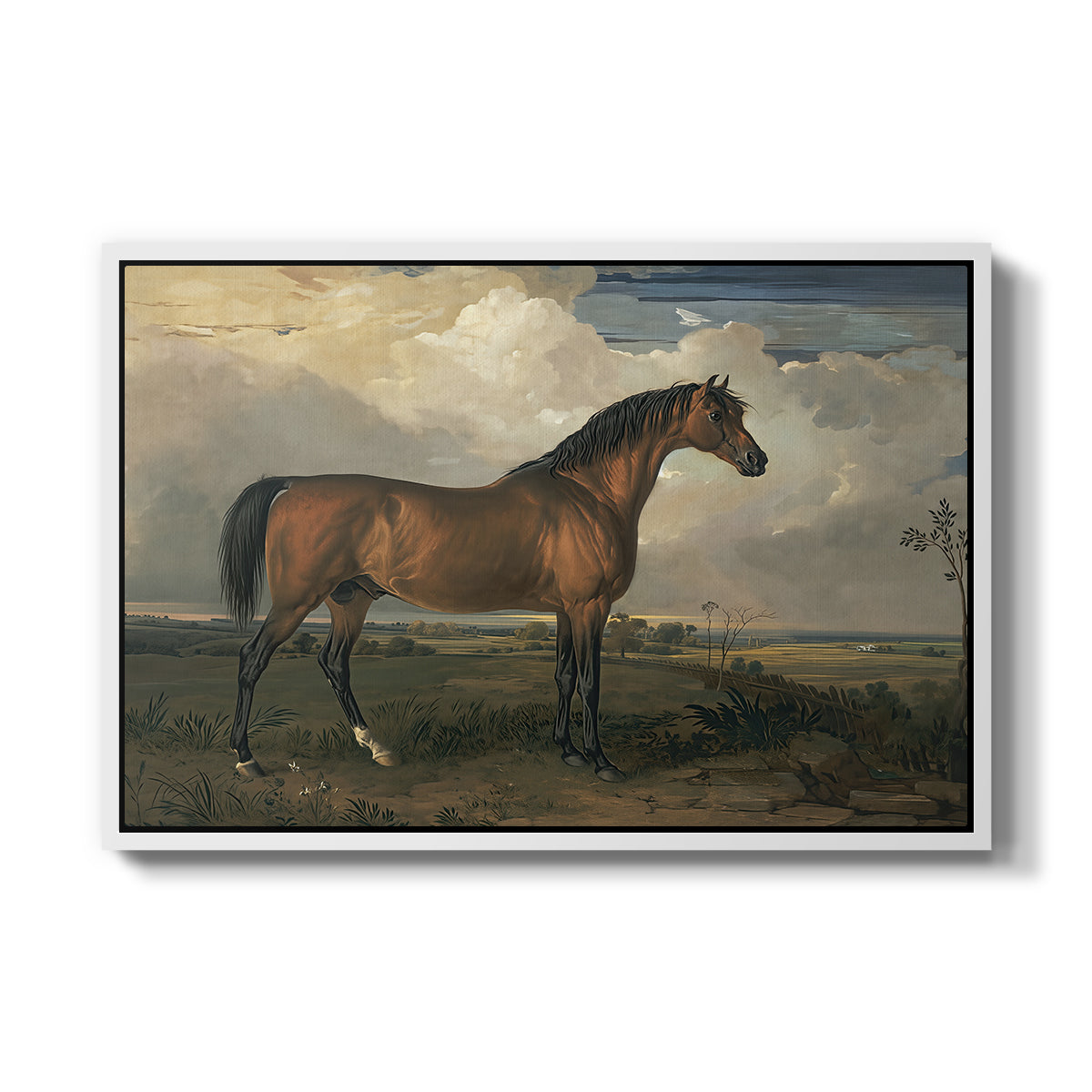 Eagle, A Celebrated Stallion, 1809 - Floater Framed Canvas Print