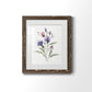 Color Variety IV - Barnwood Framed Art Print