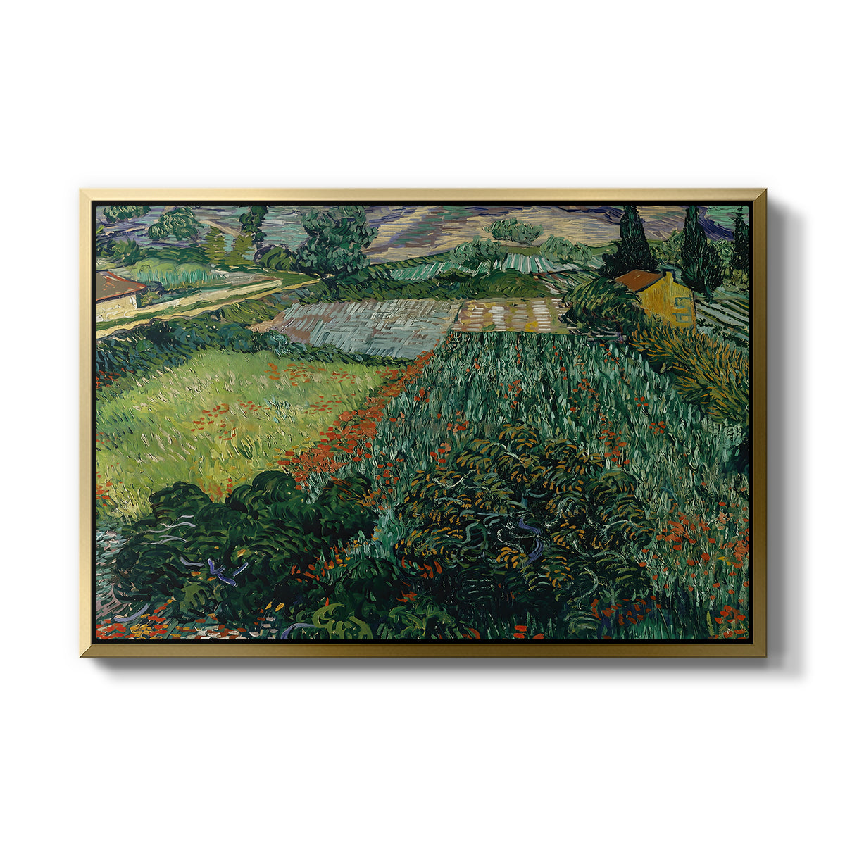 Field with Poppies, Saint-Rémy, 1889 - Floater Framed Canvas Print