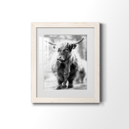 Yorkshire Highland - Premium Framed Print - Distressed Barnwood Frame - Ready to Hang