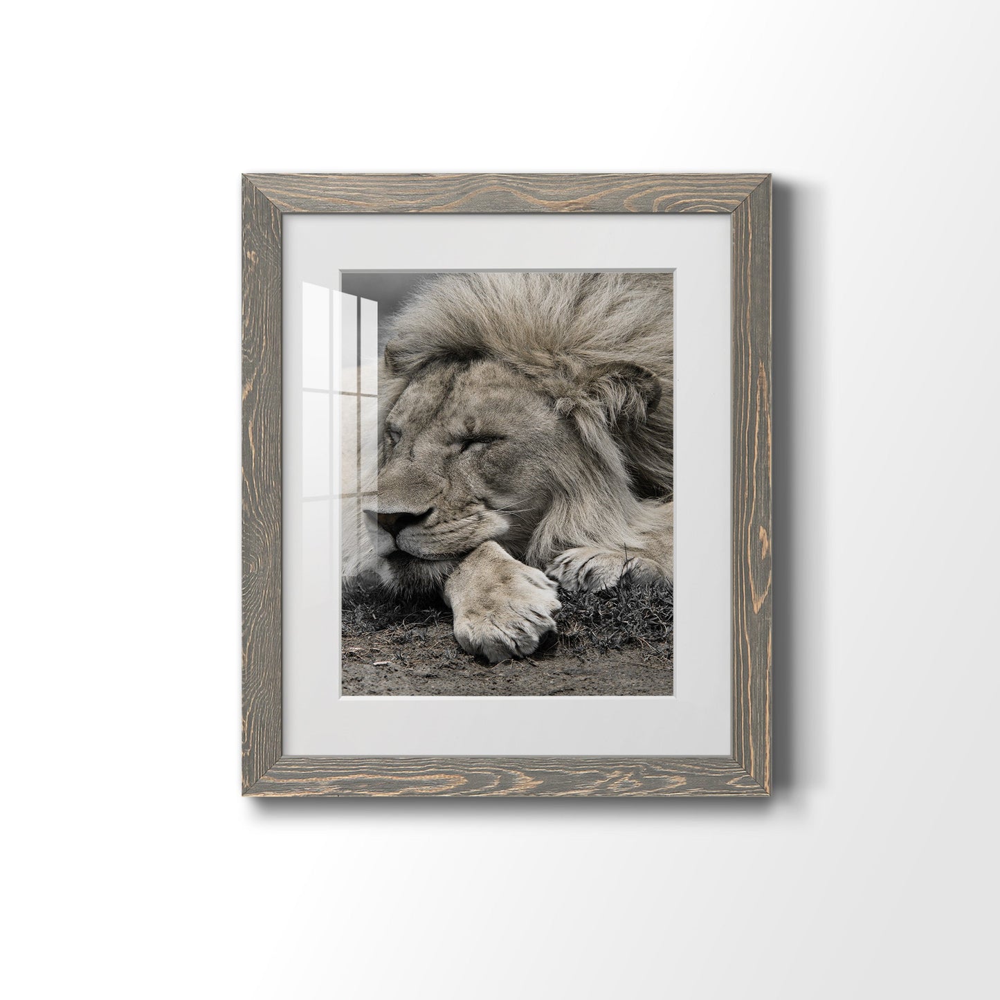 Sleepy Afternoon in Masai Mara - Premium Framed Print - Distressed Barnwood Frame - Ready to Hang