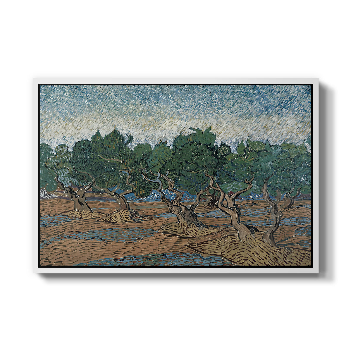 Olive Trees, 1889 - Floater Framed Canvas Print