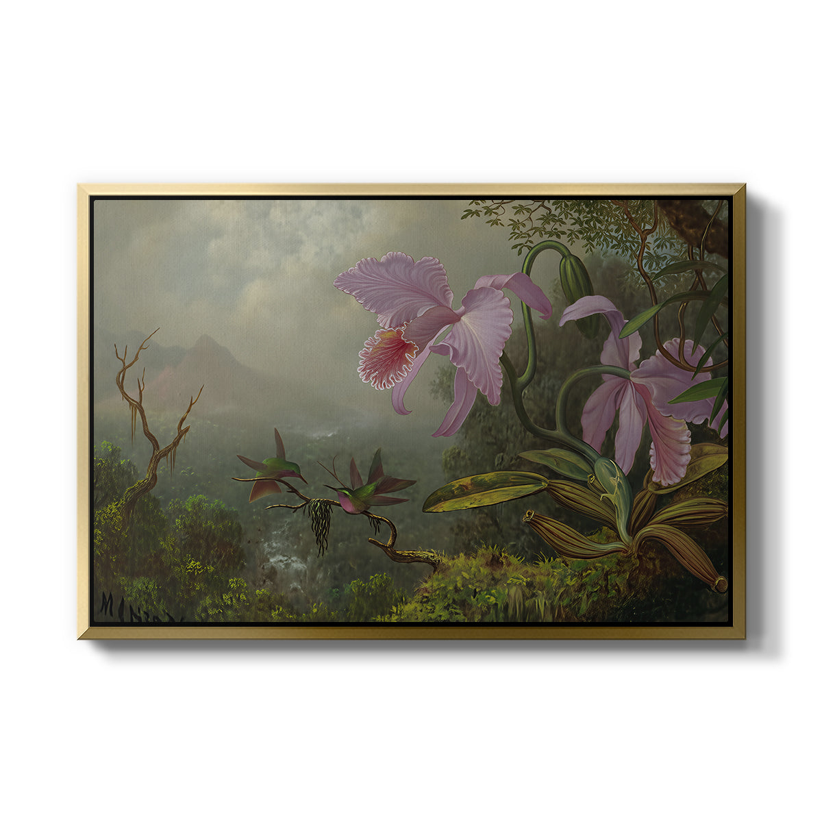 Two Sun Angel Hummingbirds on a Branch, c. 1890-1904 - Floater Framed Canvas Print