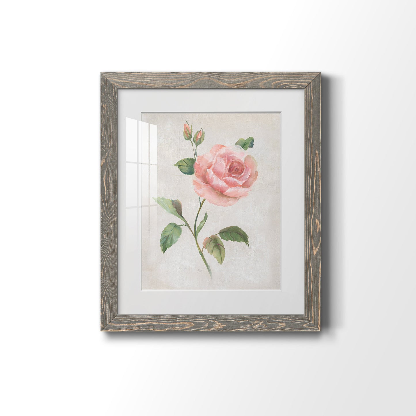 Grandiflora I - Premium Framed Print - Distressed Barnwood Frame - Ready to Hang