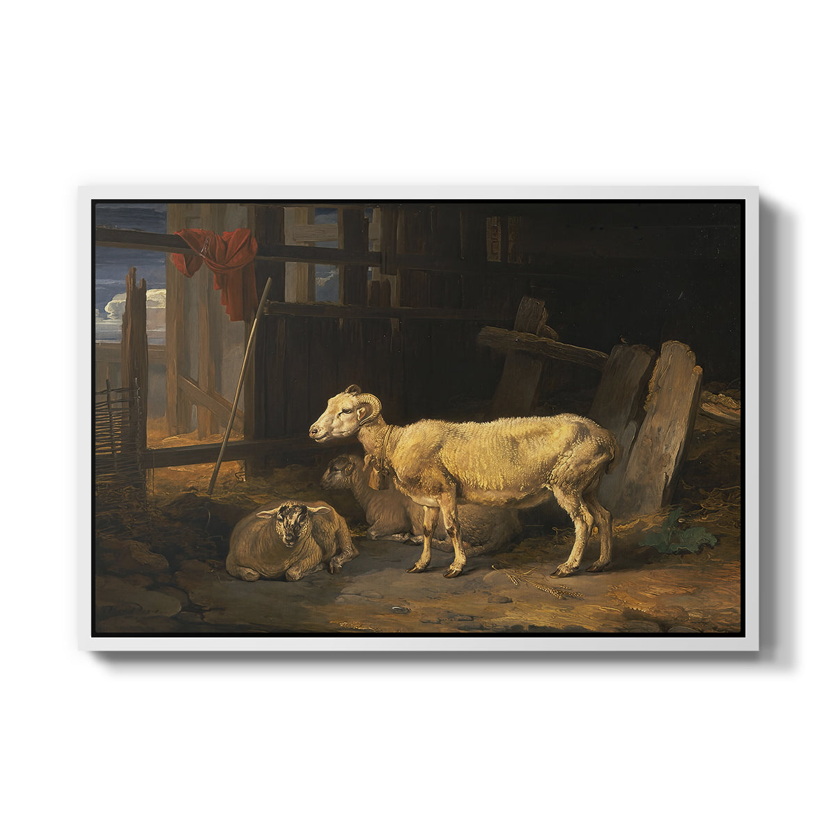 Sheep in a Stable, 1810 - Floater Framed Canvas Print