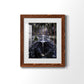 Genesis I - Premium Framed Print - Distressed Barnwood Frame - Ready to Hang