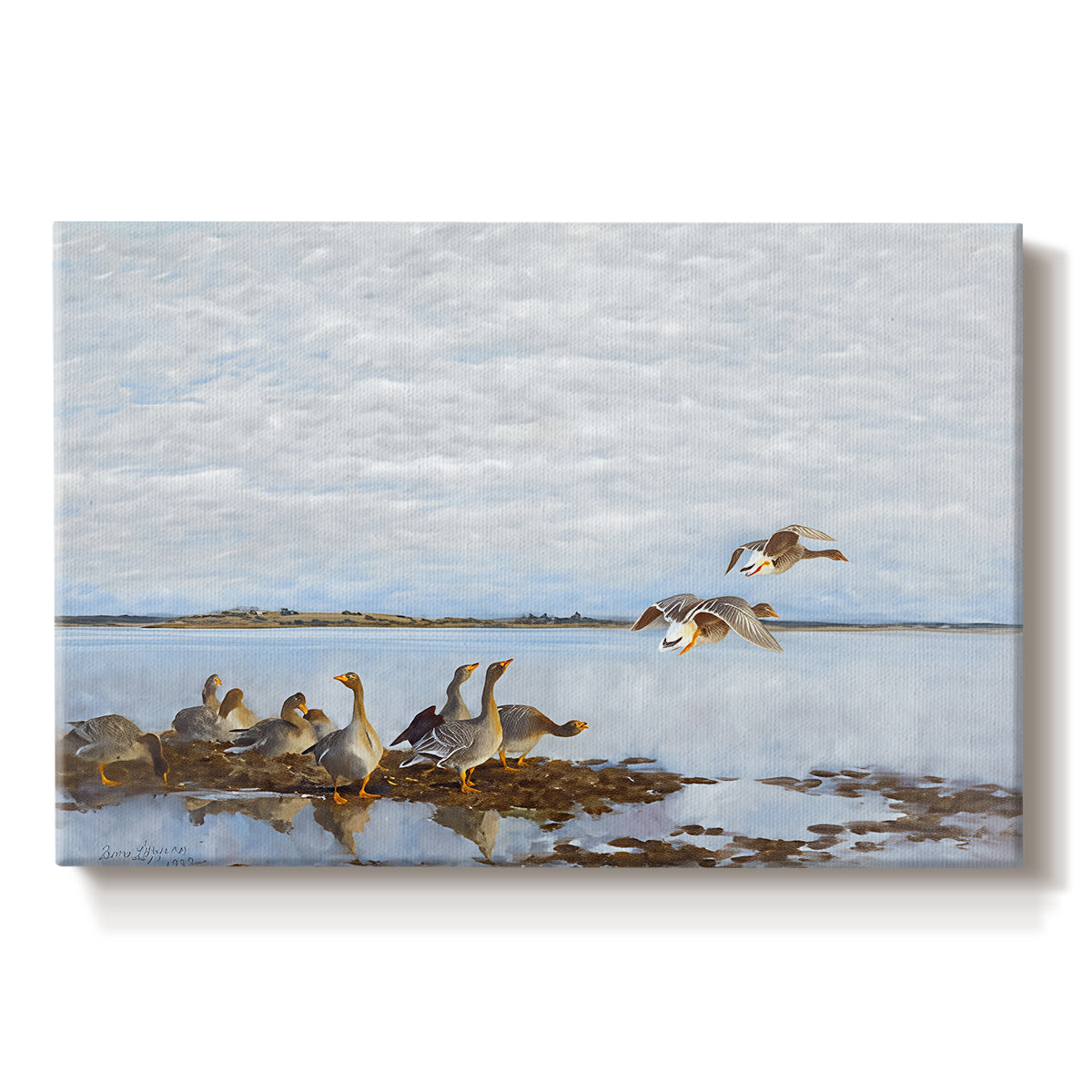 Canvas art print portraying a group of geese gathered near water in a natural wetland landscape, set against a white background