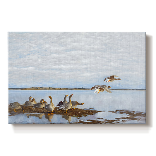 Canvas art print portraying a group of geese gathered near water in a natural wetland landscape, set against a white background