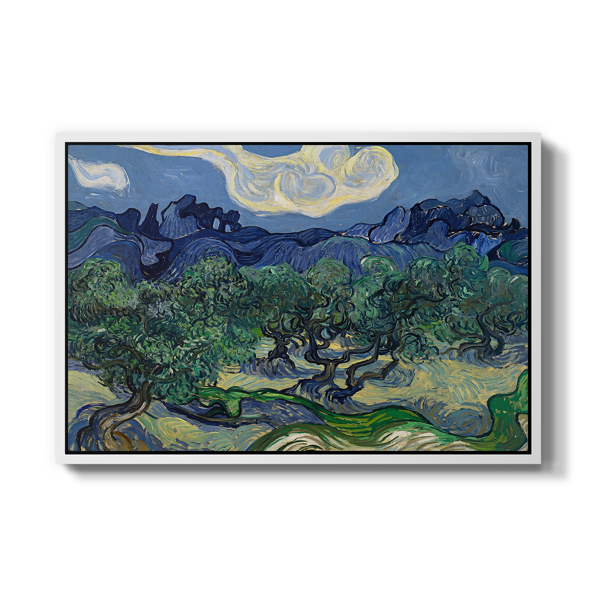 Olive Trees with the Alpilles in the Background, 1889 - Floater Framed Canvas Print