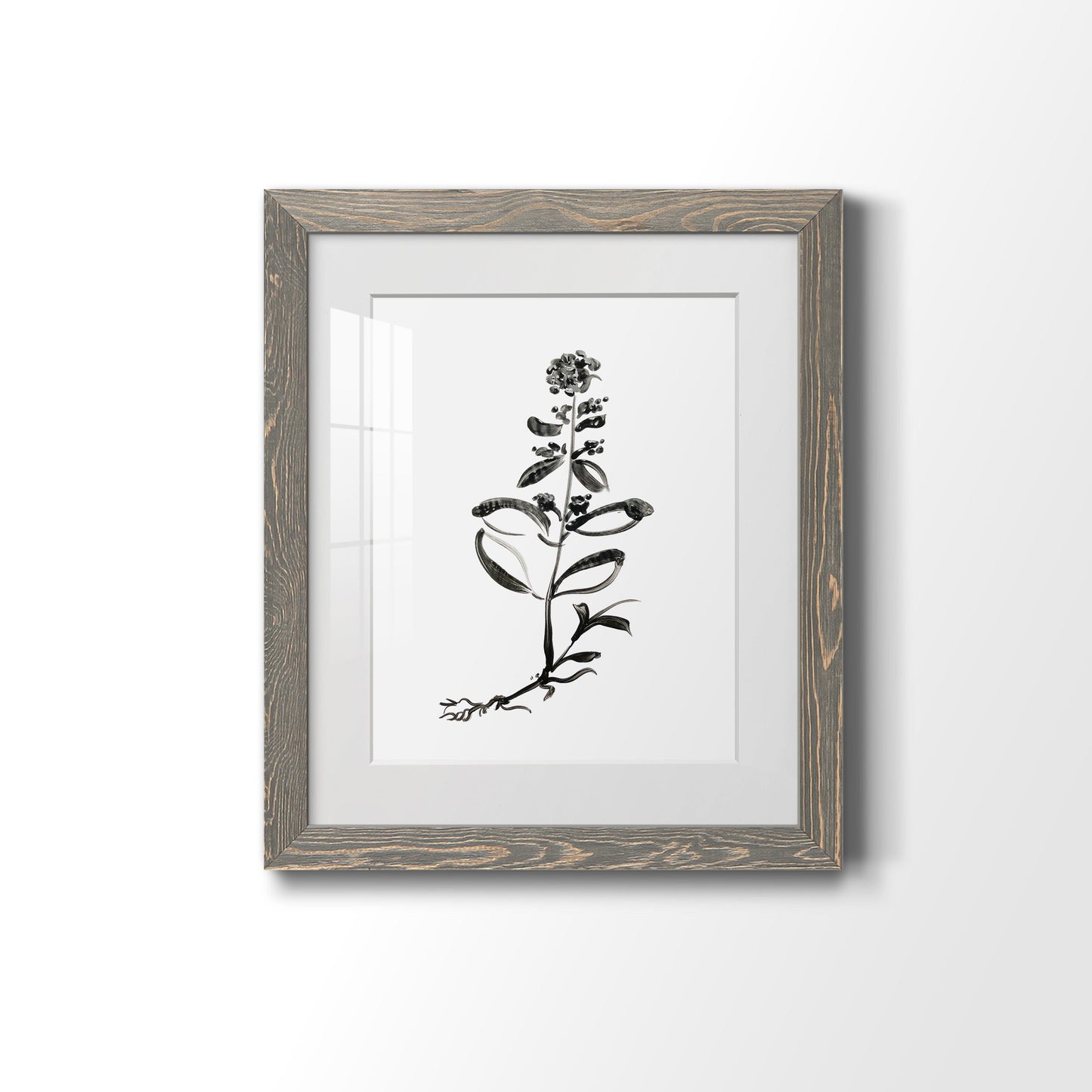 Inky Botanical III - Premium Framed Print - Distressed Barnwood Frame - Ready to Hang