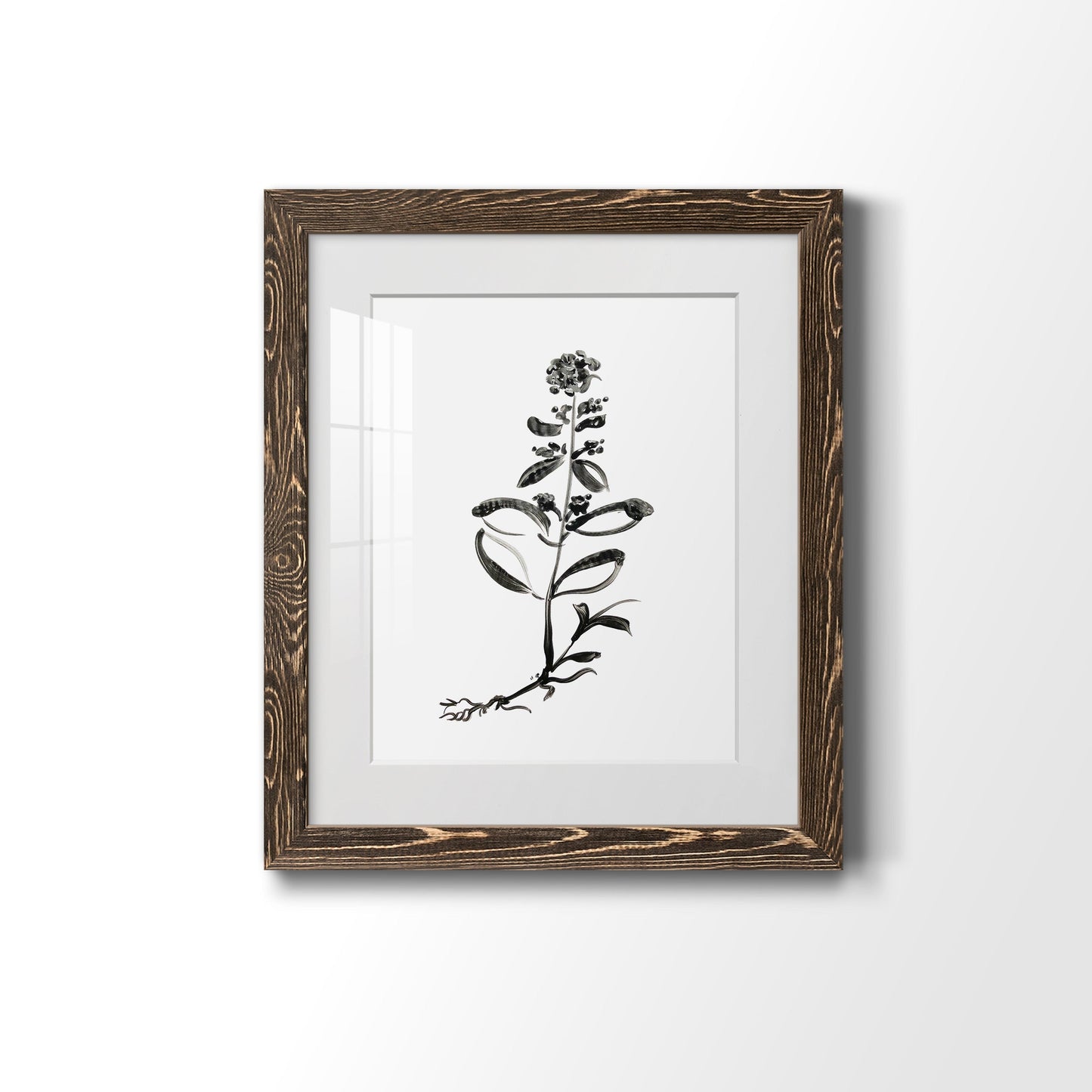 Inky Botanical III - Barnwood Framed Art Print