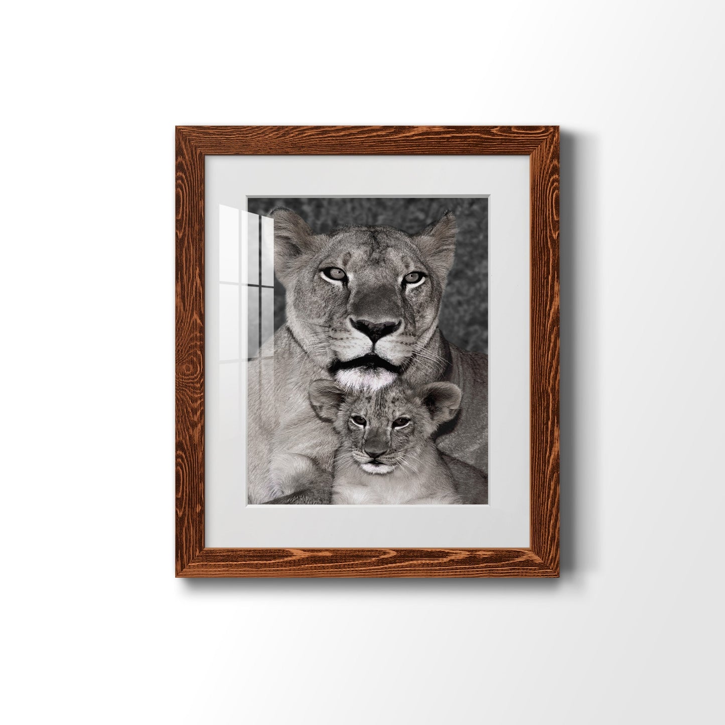 Lioness and Cub - Barnwood Framed Art Print