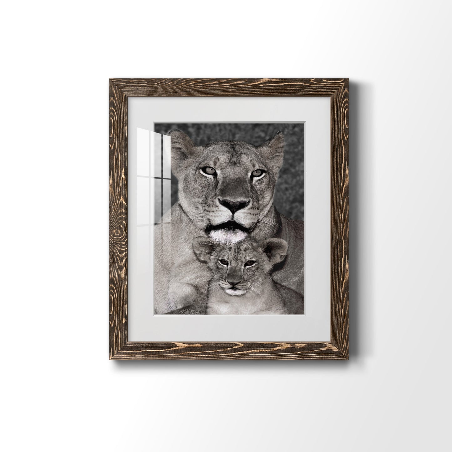 Lioness and Cub - Premium Framed Print - Distressed Barnwood Frame - Ready to Hang