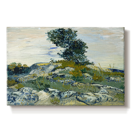 Canvas art print portraying a rocky terrain with natural formations and sparse vegetation under sky, set against a white background