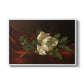 Magnolia on Red Velvet, c. 1885-1890 - Floater Framed Canvas Print