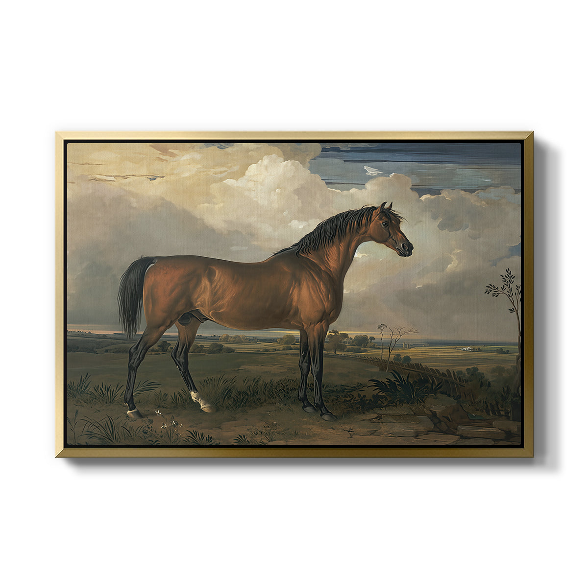 Eagle, A Celebrated Stallion, 1809 - Floater Framed Canvas Print