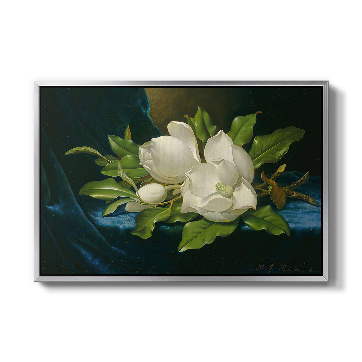 Giant Magnolias on a Blue Velvet Cloth, c. 1890 - Floater Framed Canvas Print
