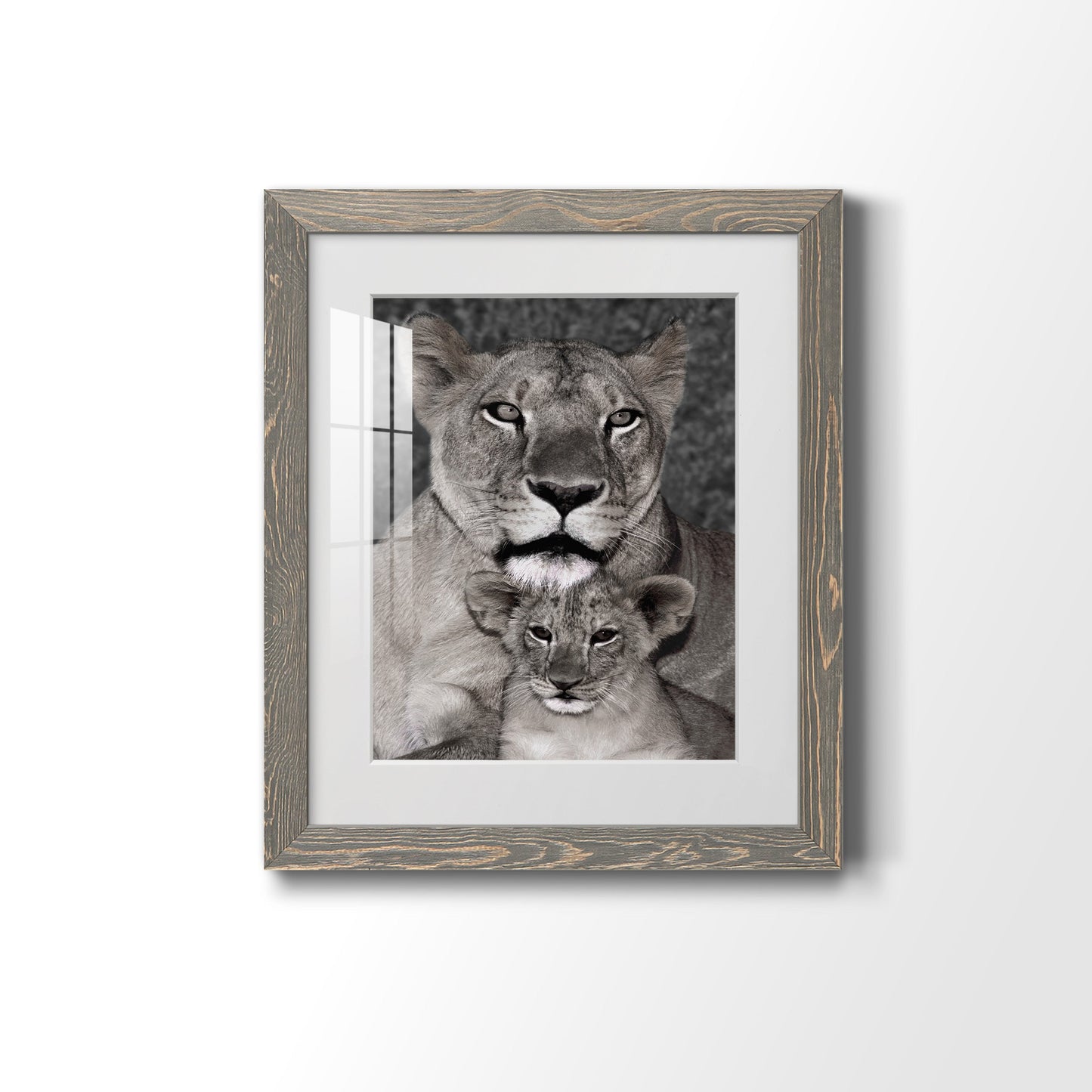 Lioness and Cub - Premium Framed Print - Distressed Barnwood Frame - Ready to Hang