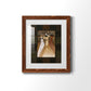 Divine Grace I - Premium Framed Print - Distressed Barnwood Frame - Ready to Hang