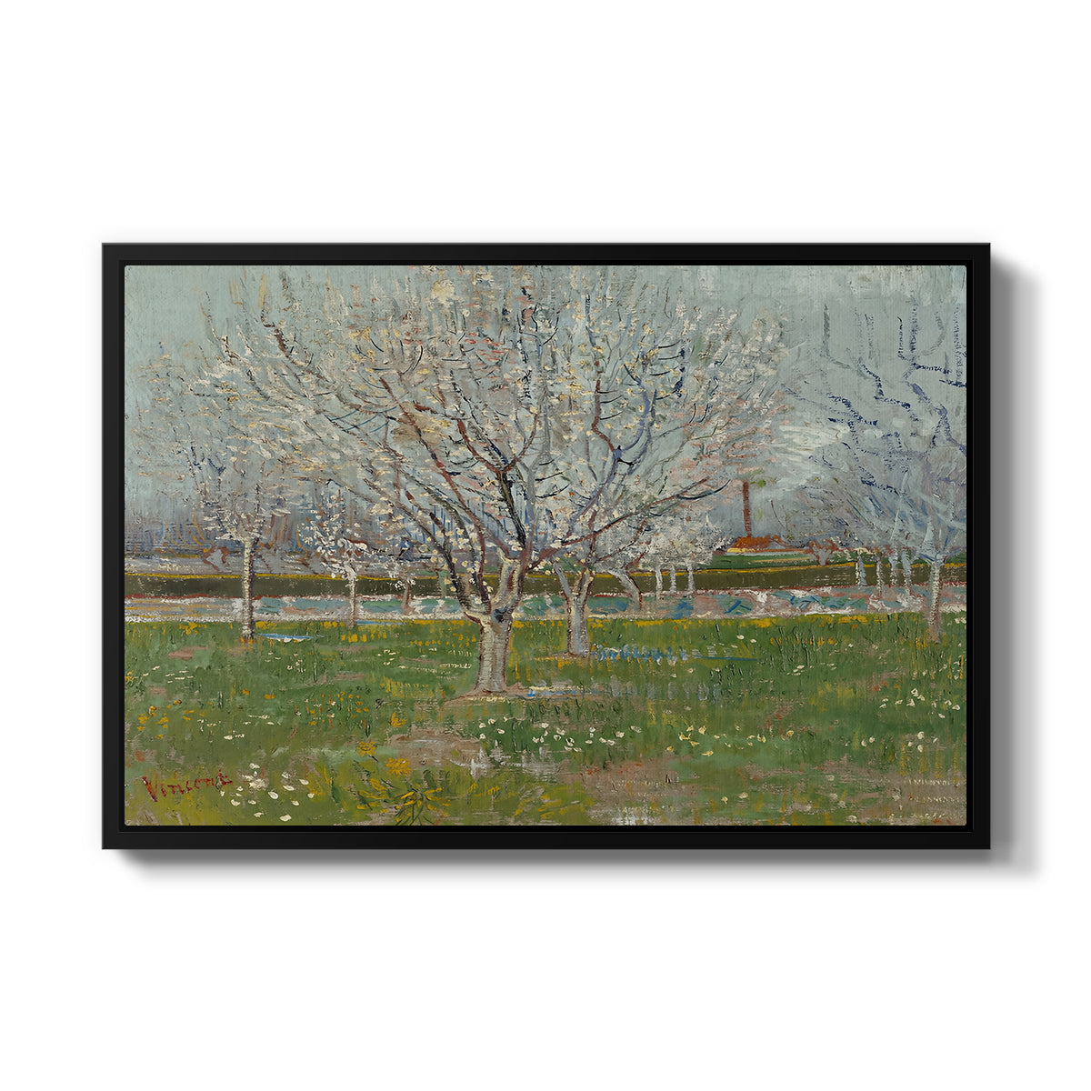 Orchard in Blossom (Plum Trees), 1888 - Floater Framed Canvas Print