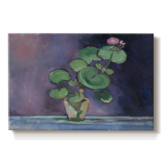 Canvas art print portraying a potted geranium with green leaves and blossoms against a dark background, set against a white background