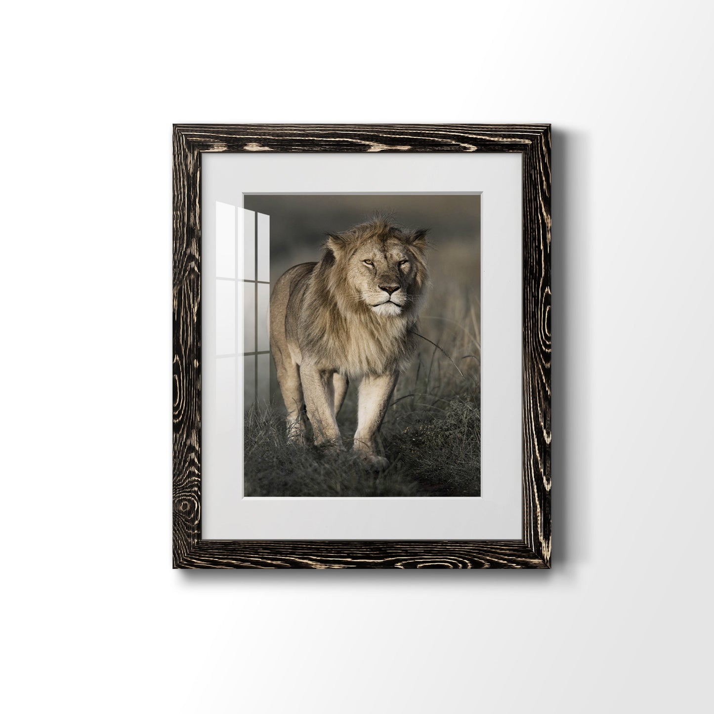 Morning Walk in Masai Mara - Premium Framed Print - Distressed Barnwood Frame - Ready to Hang