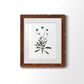 Inky Botanical I - Premium Framed Print - Distressed Barnwood Frame - Ready to Hang