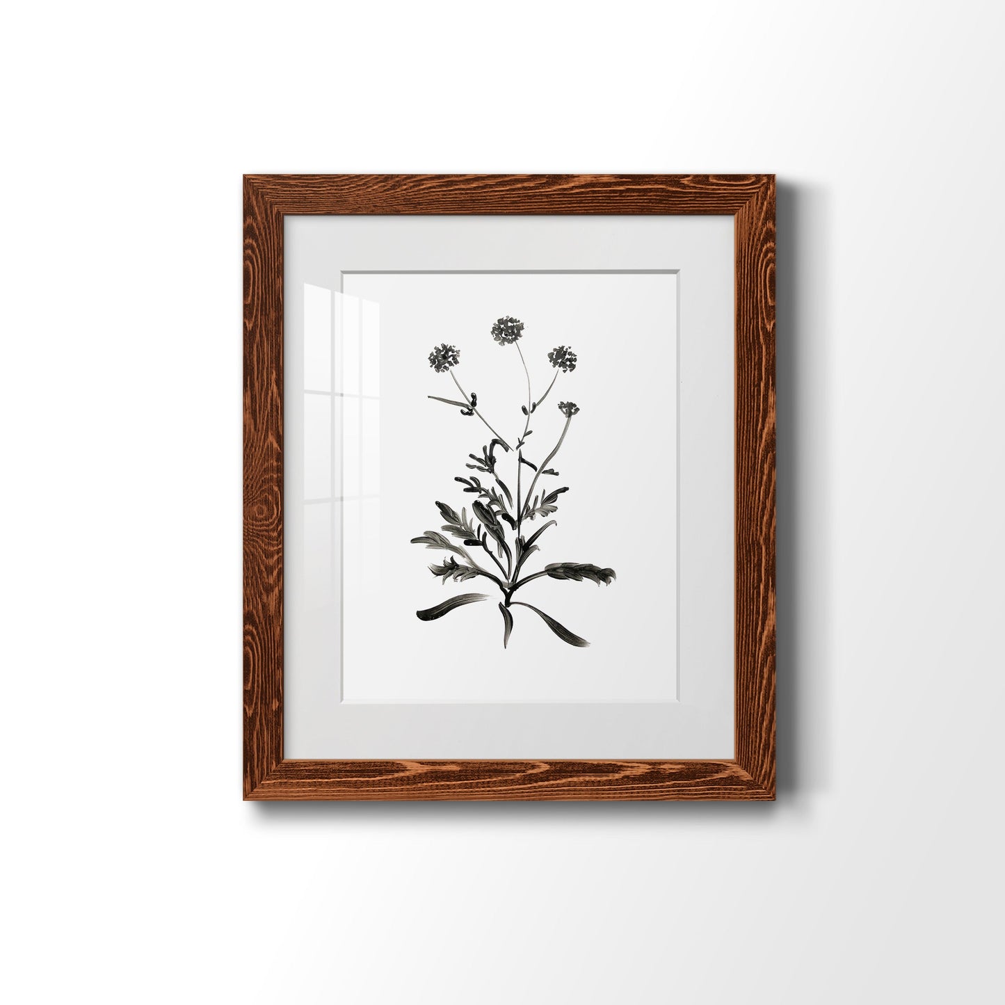 Inky Botanical I - Premium Framed Print - Distressed Barnwood Frame - Ready to Hang