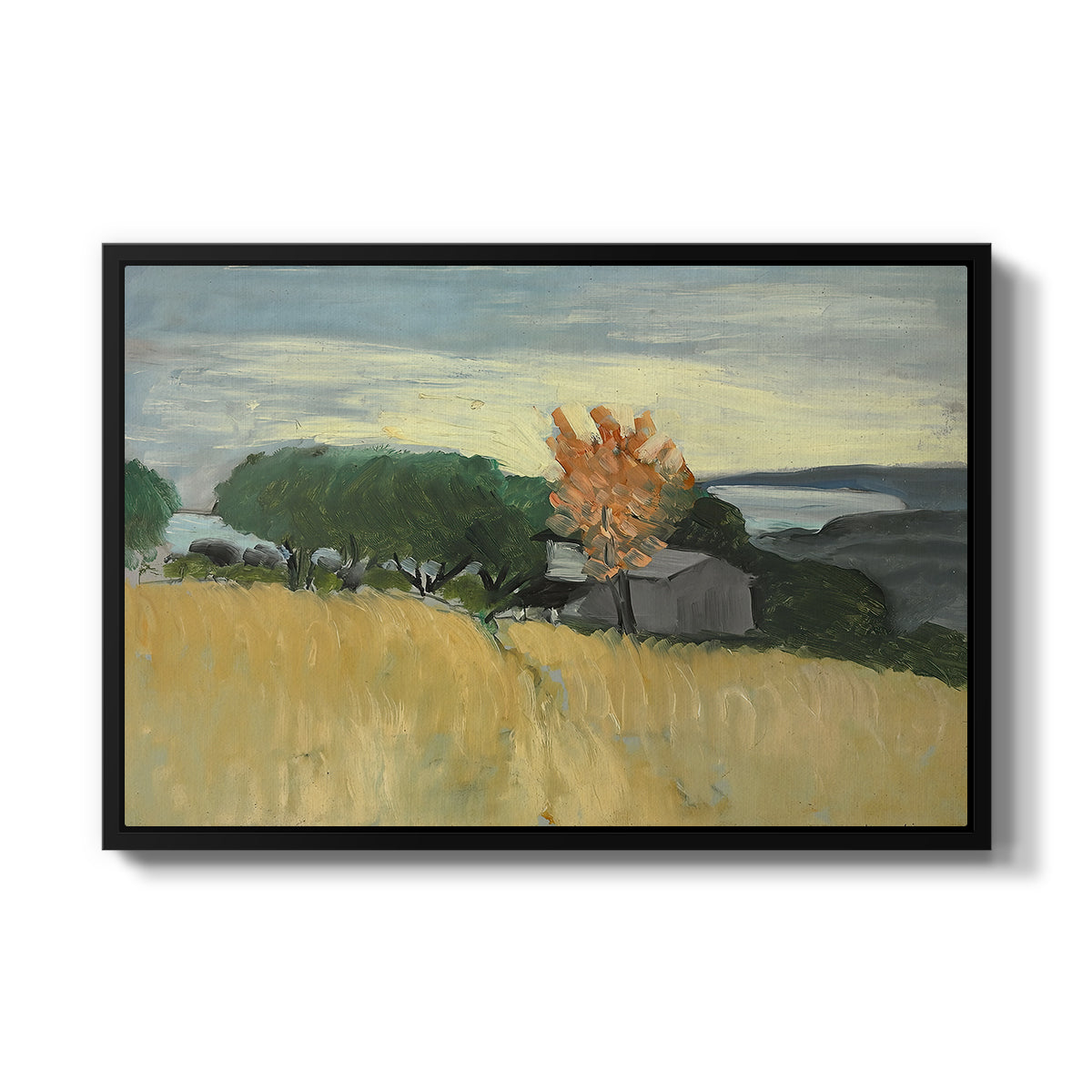 Fields of Wheat in Cagnes, 1918 - Floater Framed Canvas Print