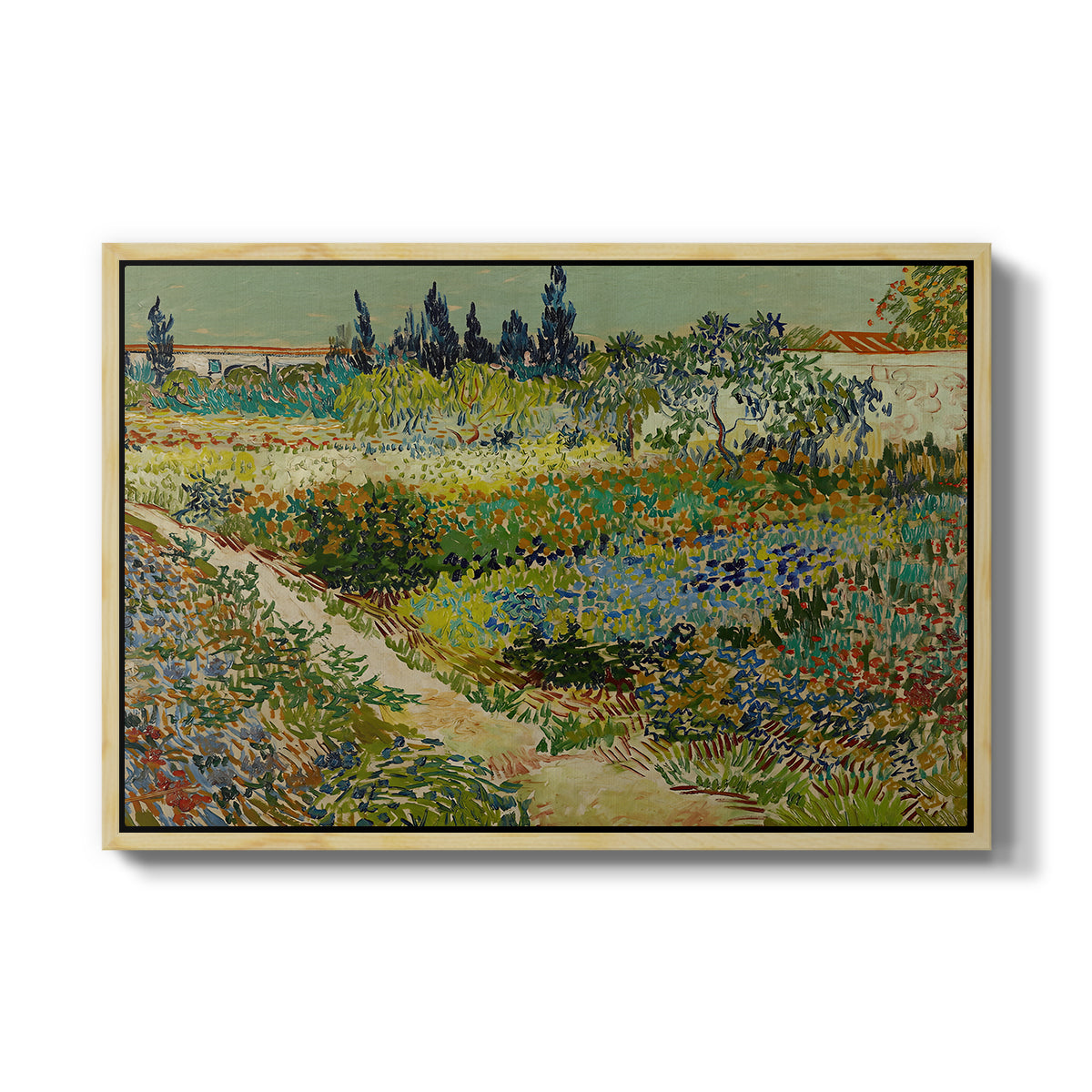 Garden at Arles, 1888 - Floater Framed Canvas Print