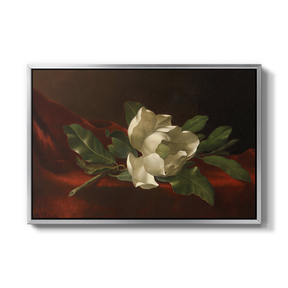 Magnolia on Red Velvet, c. 1885-1890 - Floater Framed Canvas Print