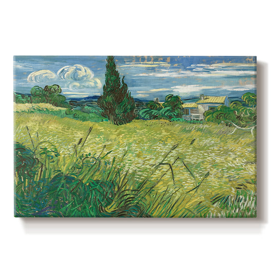 Canvas art print portraying a wheat field with tall cypress tree rising against vivid sky, set against a white background