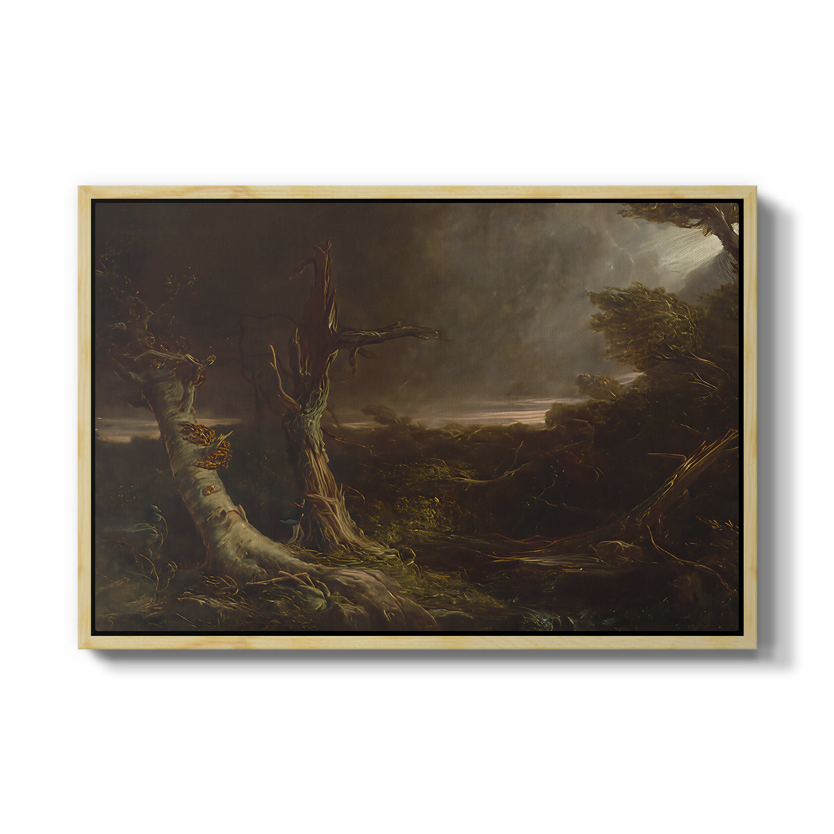 Tornado in an American Forest, 1835 - Floater Framed Canvas Print