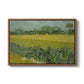 Field with Irises near Arles, 1888 - Floater Framed Canvas Print