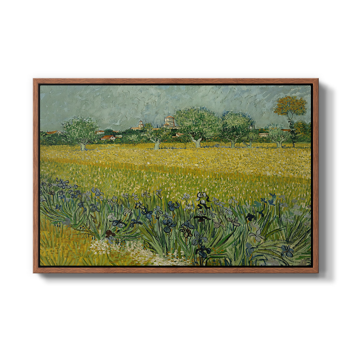 Field with Irises near Arles, 1888 - Floater Framed Canvas Print